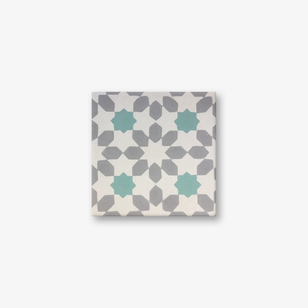 Misiones Rose Encaustic Cement Tile