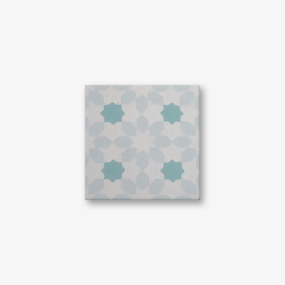 Misiones Rose Encaustic Cement Tile