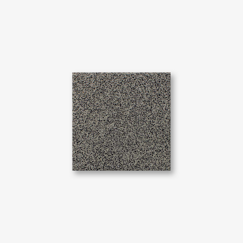 Speckled Black Mosaic Terrazzo